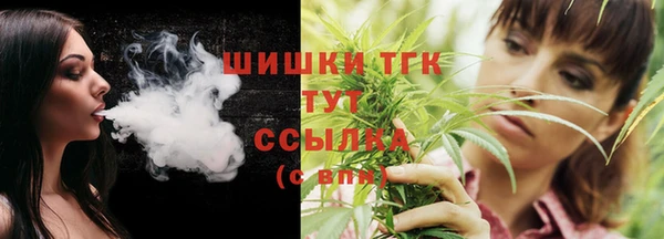 ECSTASY Бородино