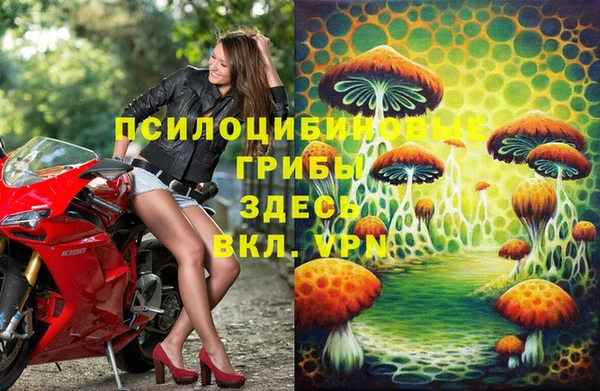гидропоника Верея