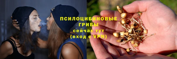 гидропоника Верея