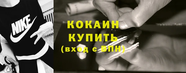 ECSTASY Бородино