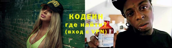 ECSTASY Бородино