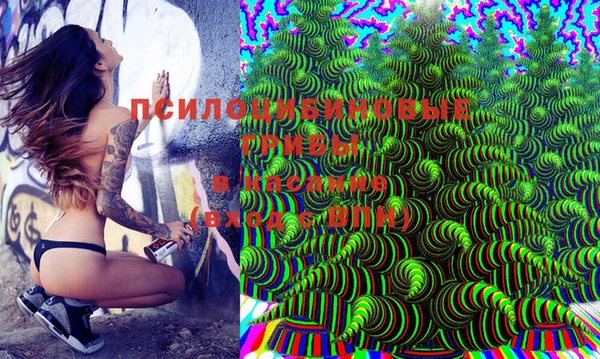 ECSTASY Бородино