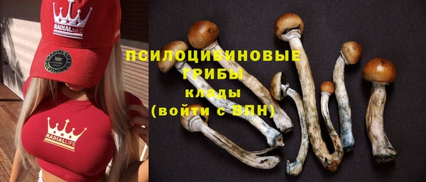 соль курить ск Бугульма