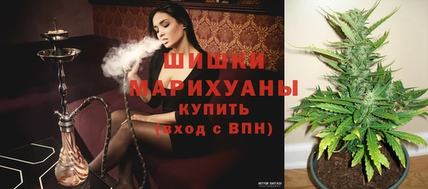 ECSTASY Бородино