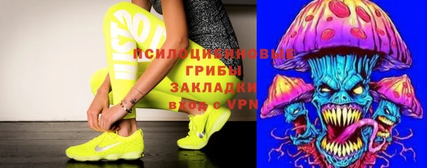 гидропоника Верея