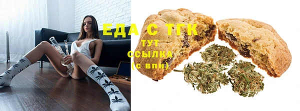ECSTASY Бородино